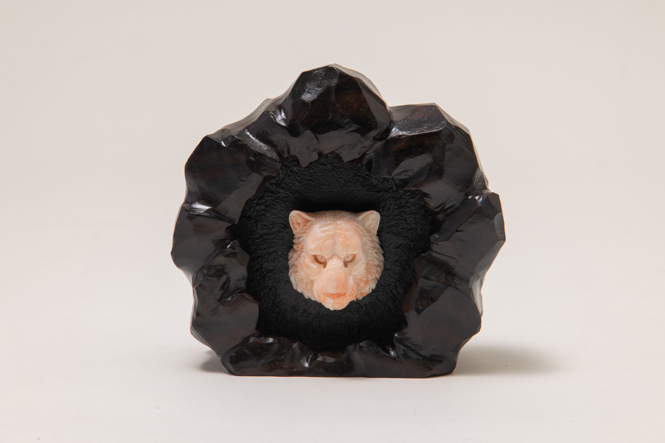 虎の穴 | エントリー作品一覧｜全高知珊瑚協同組合連合会